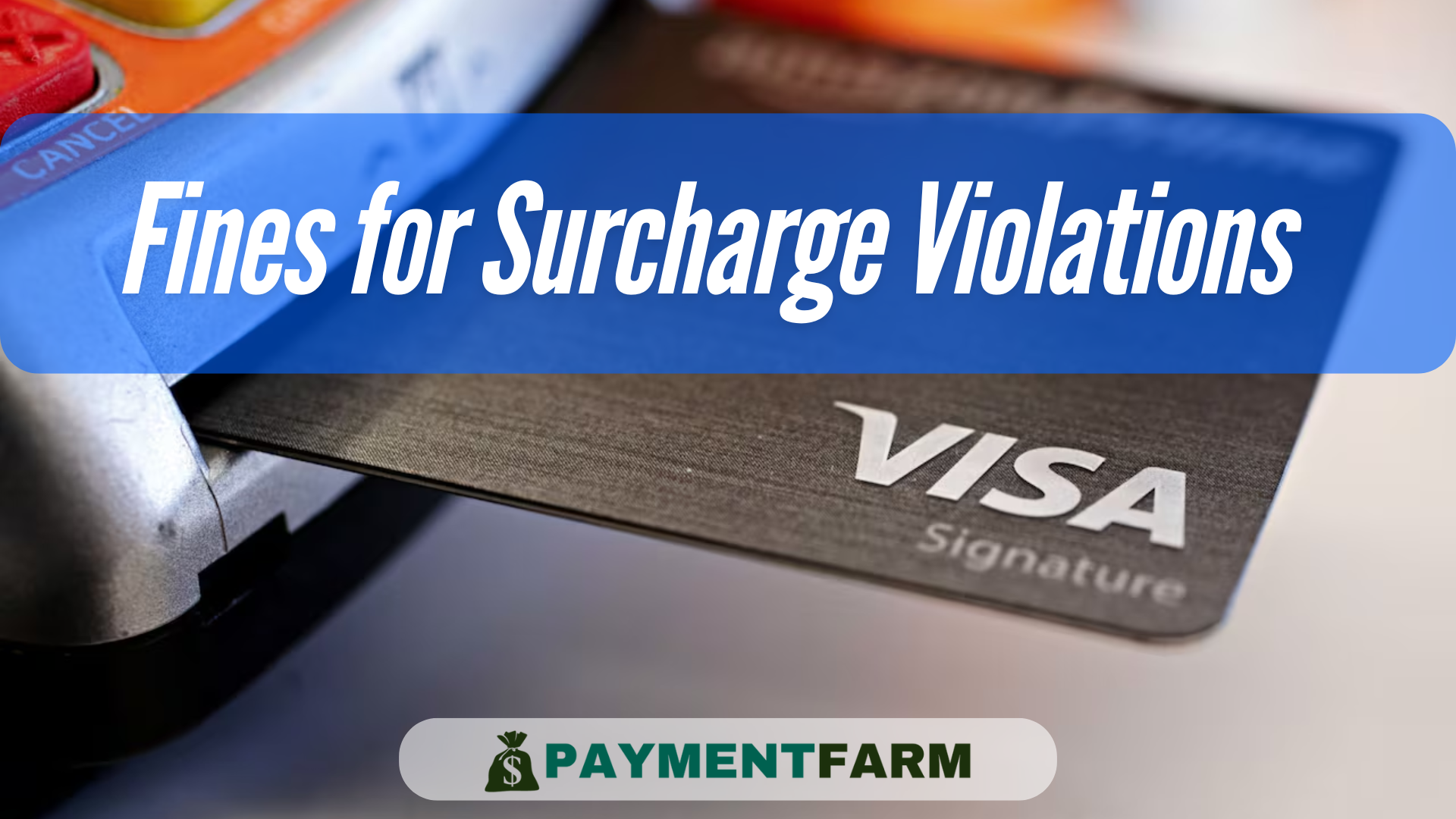 Visa Surcharge image